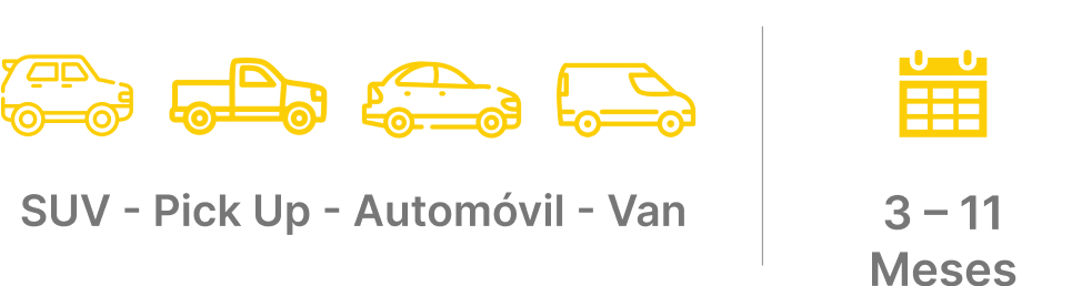 Categorías Hertz Minilease